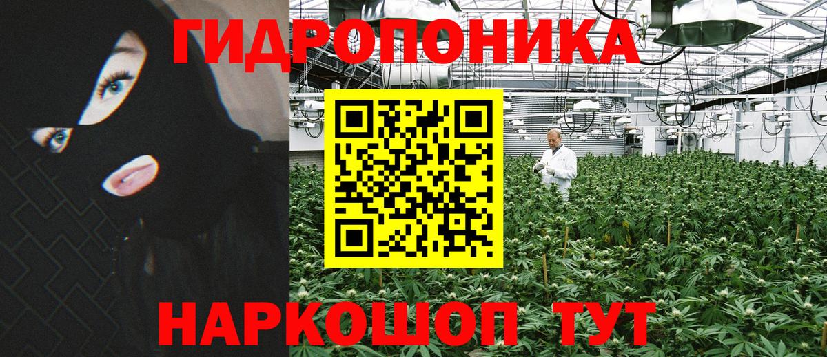 Марихуана White Widow Богородицк